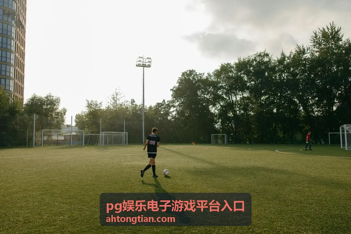 pg娱乐电子游戏平台入口玩法说明栏目配图